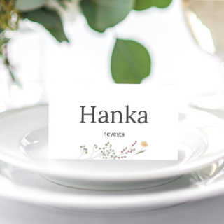 MENOVKY NA STÔL - Z herbára